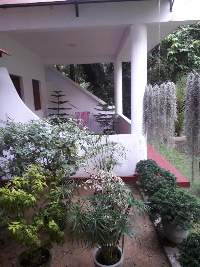Villa 159 Хиккадува Экстерьер фото